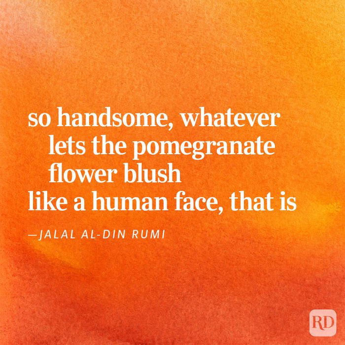 Romantic Love Poems 14