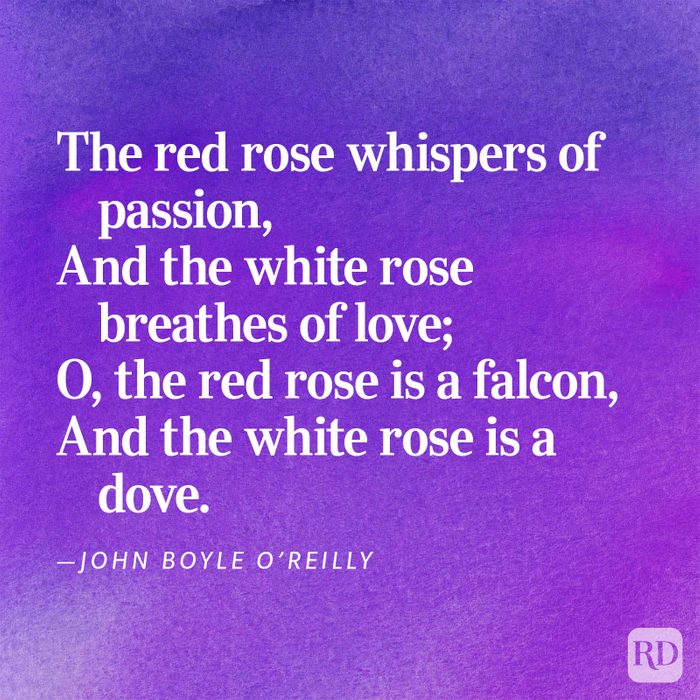 Romantic Love Poems 28