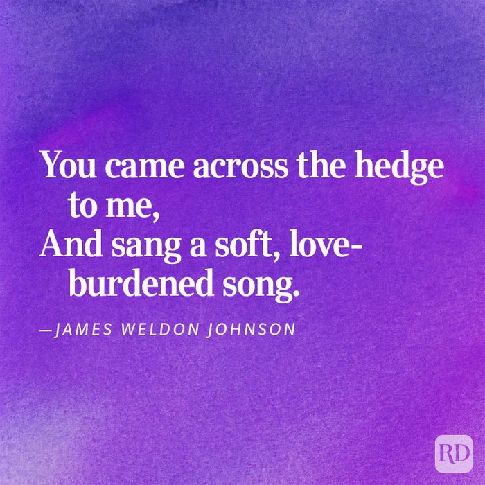 Romantic Love Poems 38