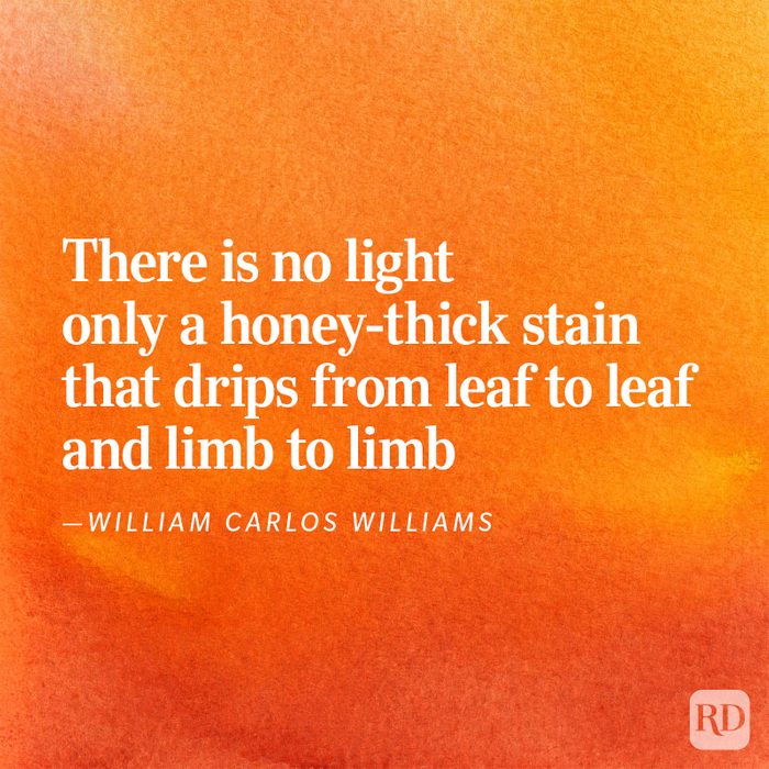 Romantic Love Poems 9