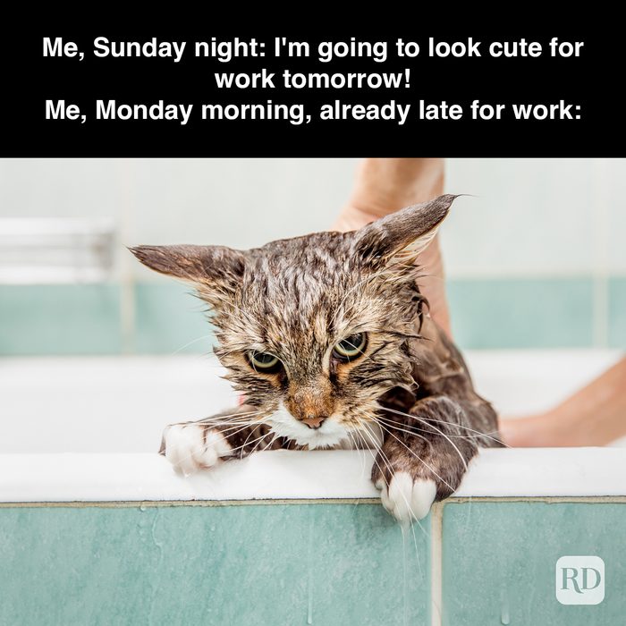 16 Me Sunday Night I'm Going To Look Cute For Work Tomorrow Me Monday Morning Already Late For Work Gettyimages 694195168