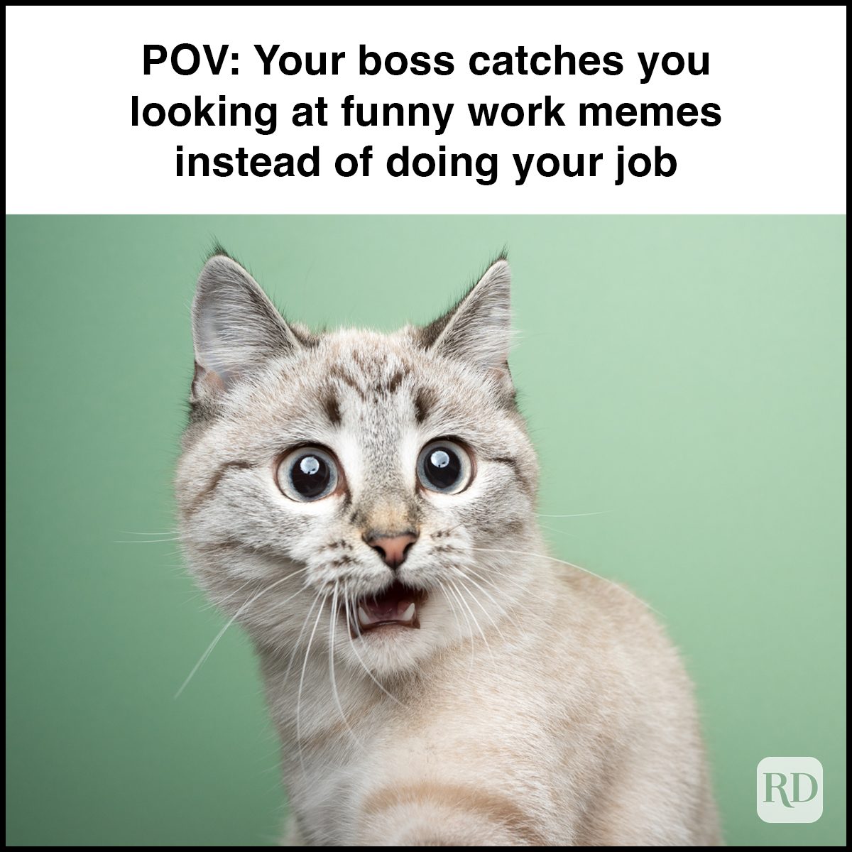 26 Pov Your Boss Catches You Looking At Funny Work Memes Instead Of Doing Your Job Gettyimages 1361306507