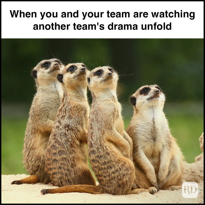 27 When You And Your Team Are Watching Another Team's Drama Unfold Gettyimages 486589958
