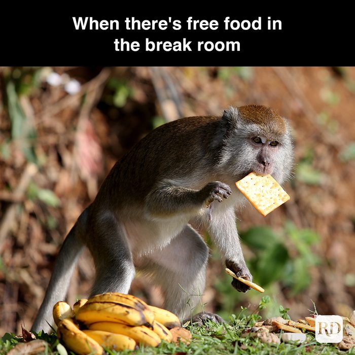 43 When There's Free Food In The Break Room Gettyimages 1337170834