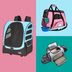 7 Best Cat Carriers for Safely Traveling With Your Kitty (That Aren't Impossible to Get Your Cat Into)