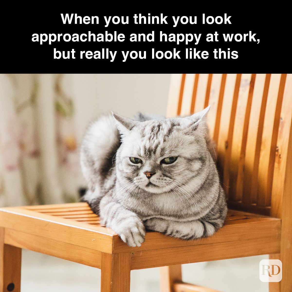 60 When You Think You Look Approachable And Happy At Work But Really You Look Like This Gettyimages 1227403521