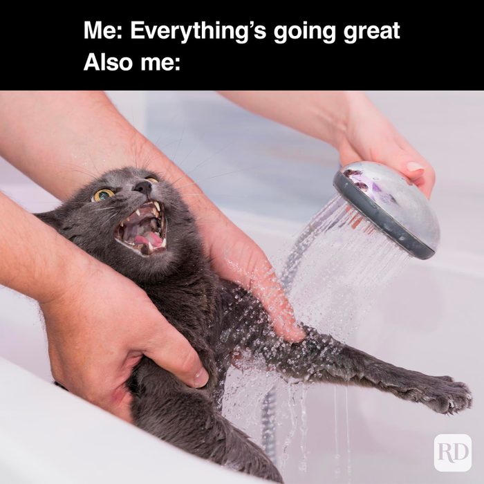 Dark Humor Memes 8 Gettyimages 1463175213