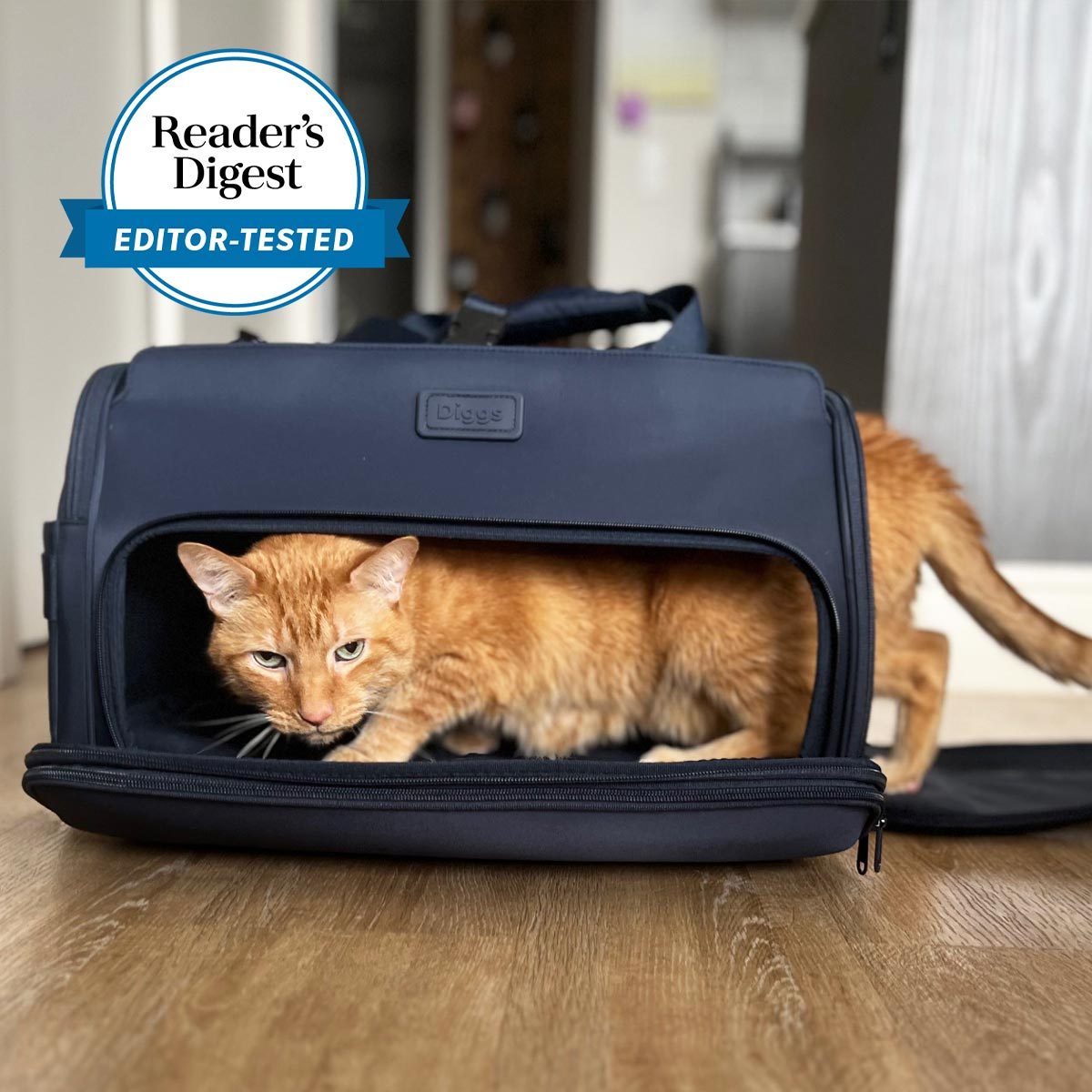 Diggs Passenger Travel Carrier