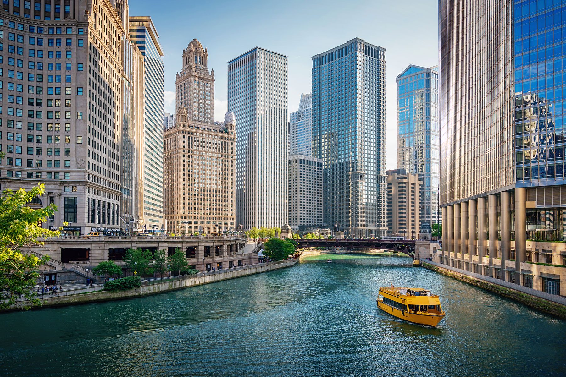 Yellow tourboat drives Downtown Chicago Skyscraper Cityscape along the Chicago River