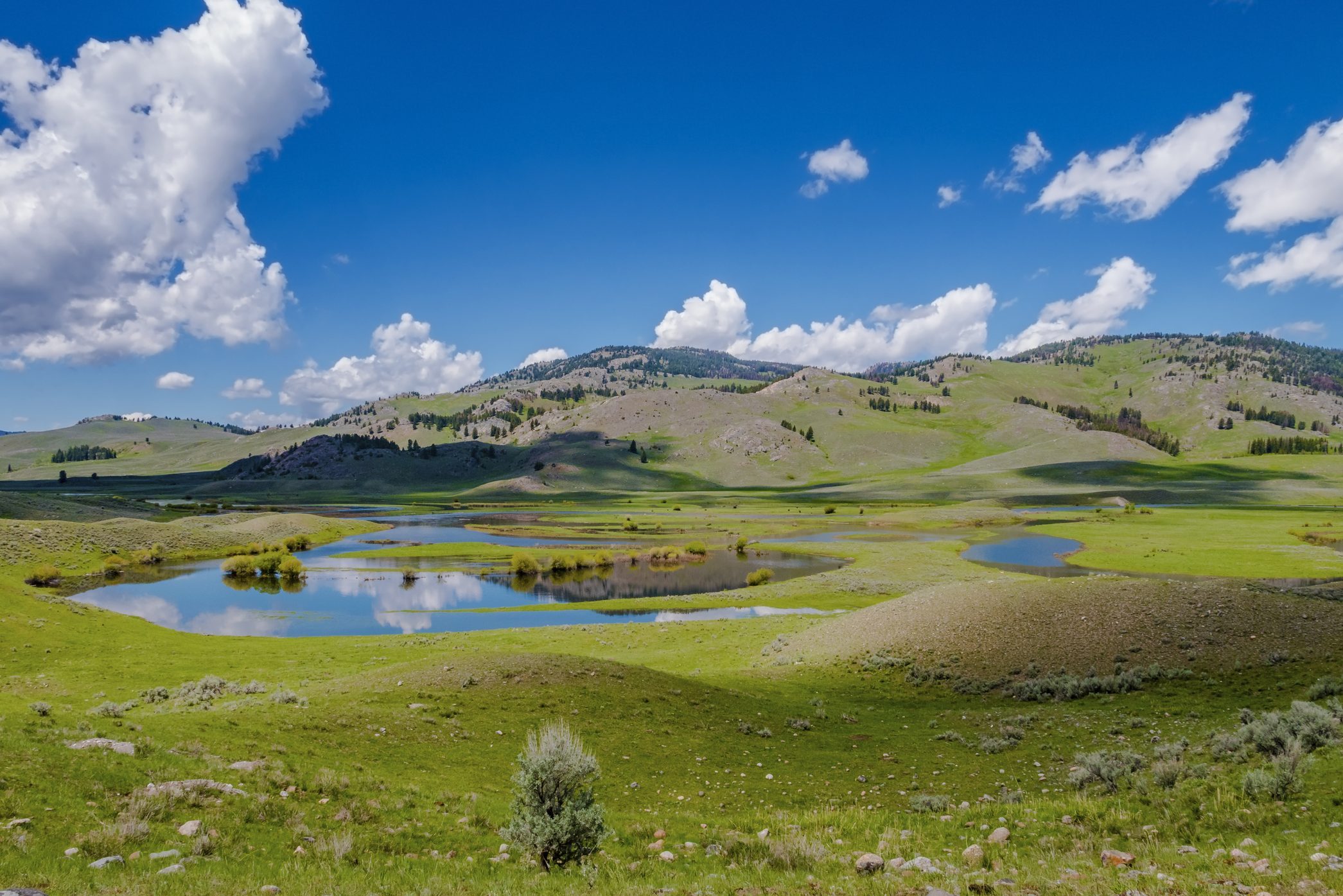 Slough Creek - Lamar Valley