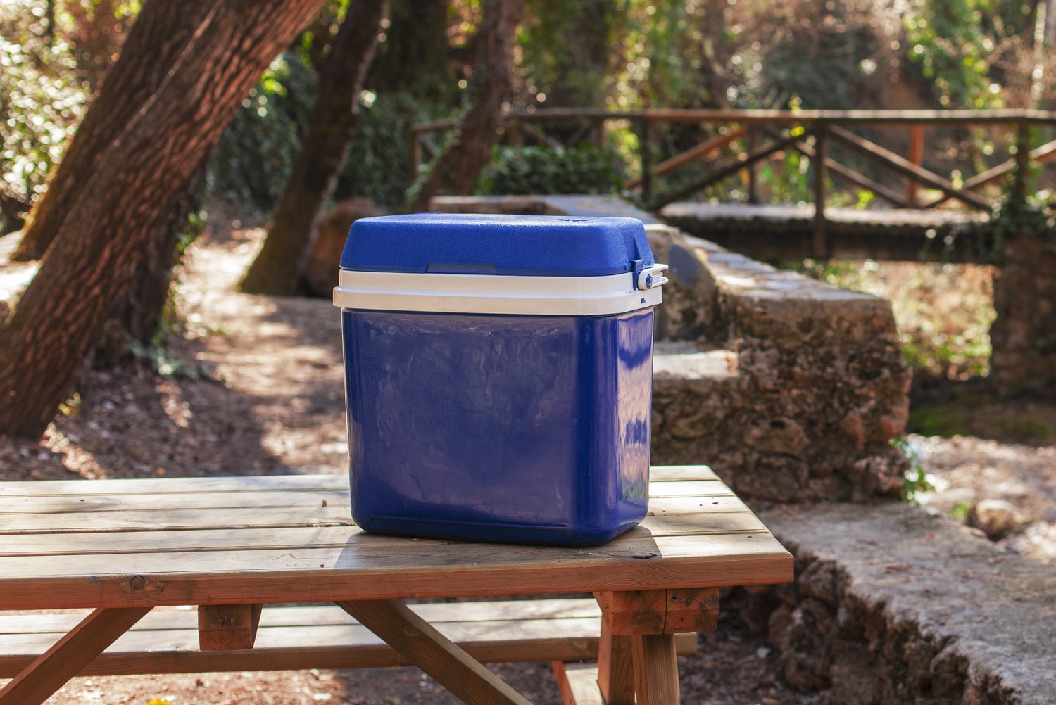 blue camping cooler on a picnic table In the woods