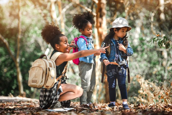 kids searching for a letterbox in the woods
