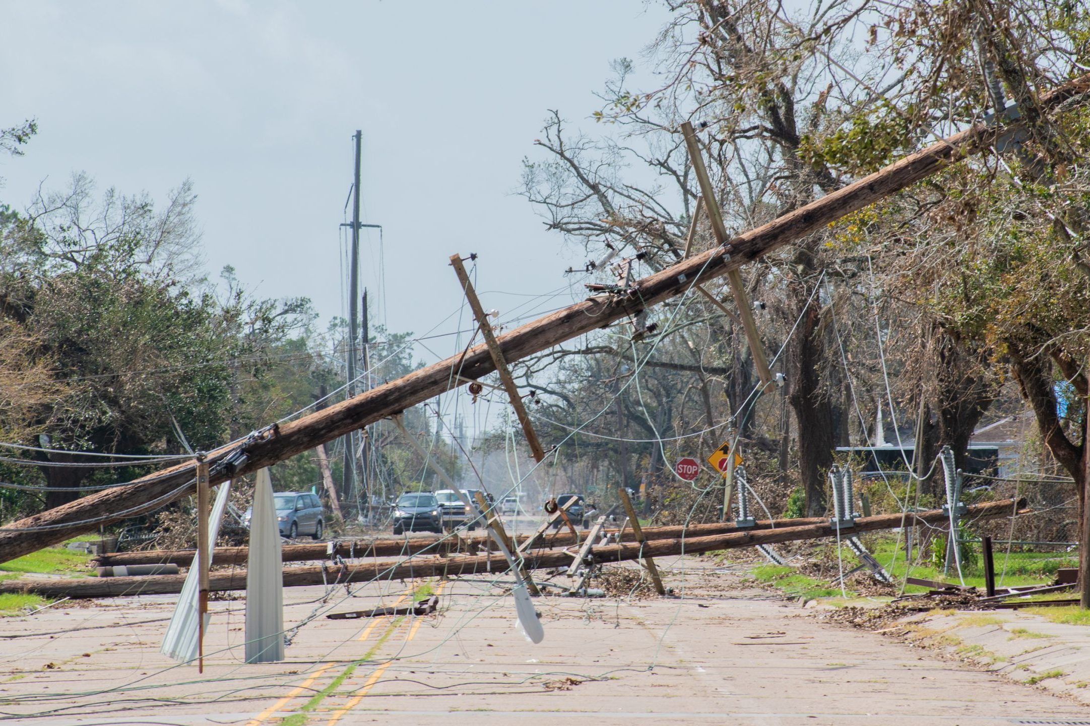 Telephone poles toppled over after Hurricane Laura