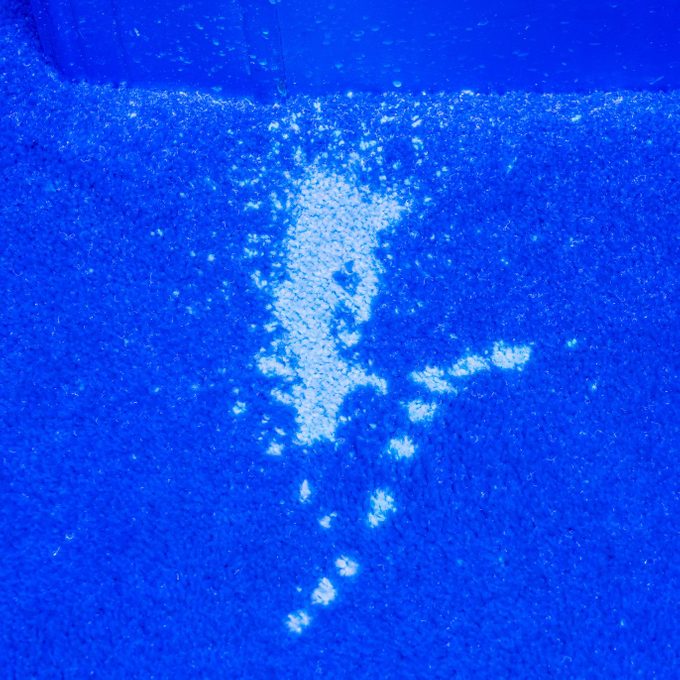 Ultraviolet light illuminates many pet urine stains on a carpet