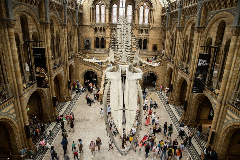 UNITED KINGDOM - LONDON