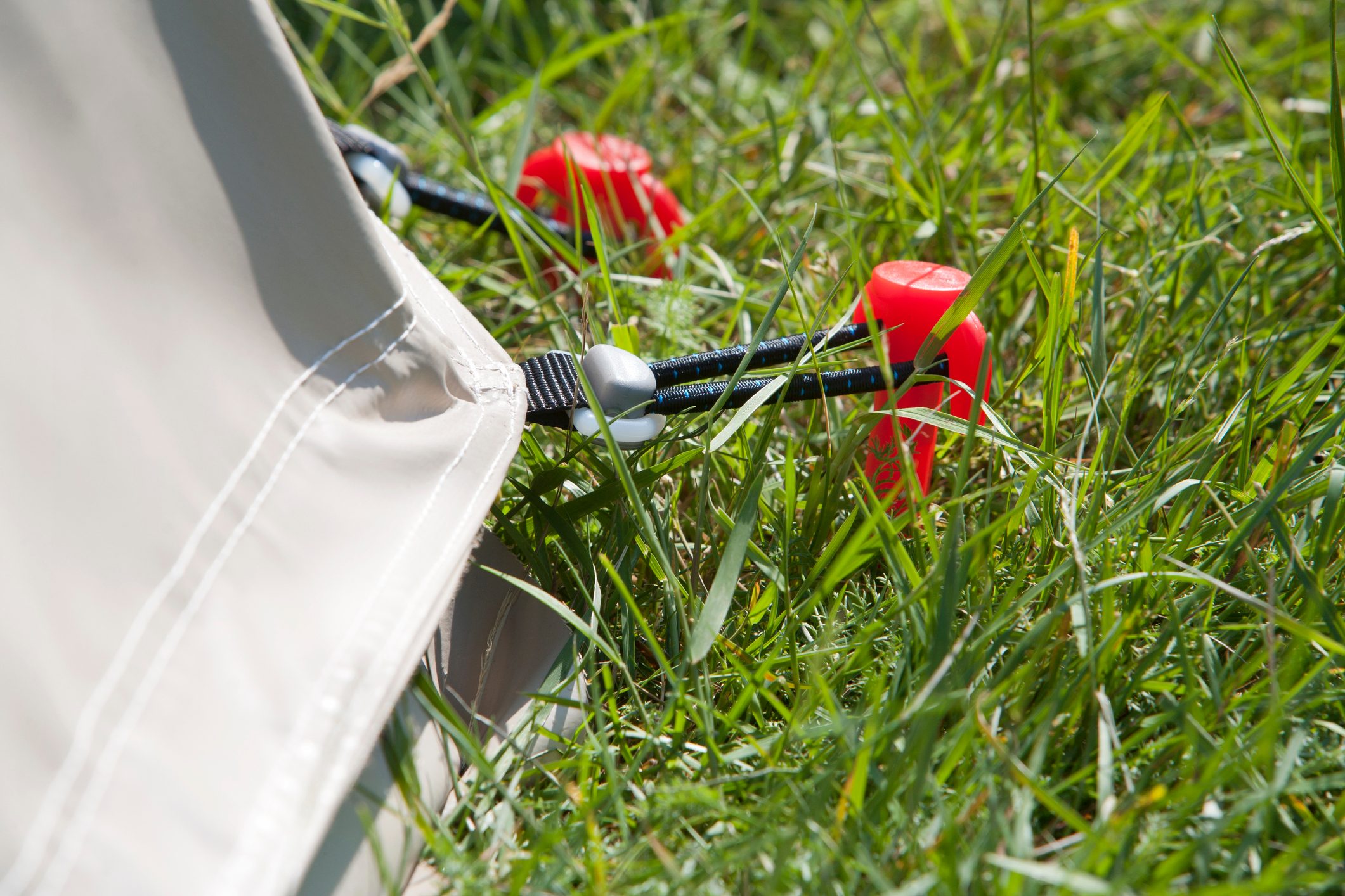 Red tent peg