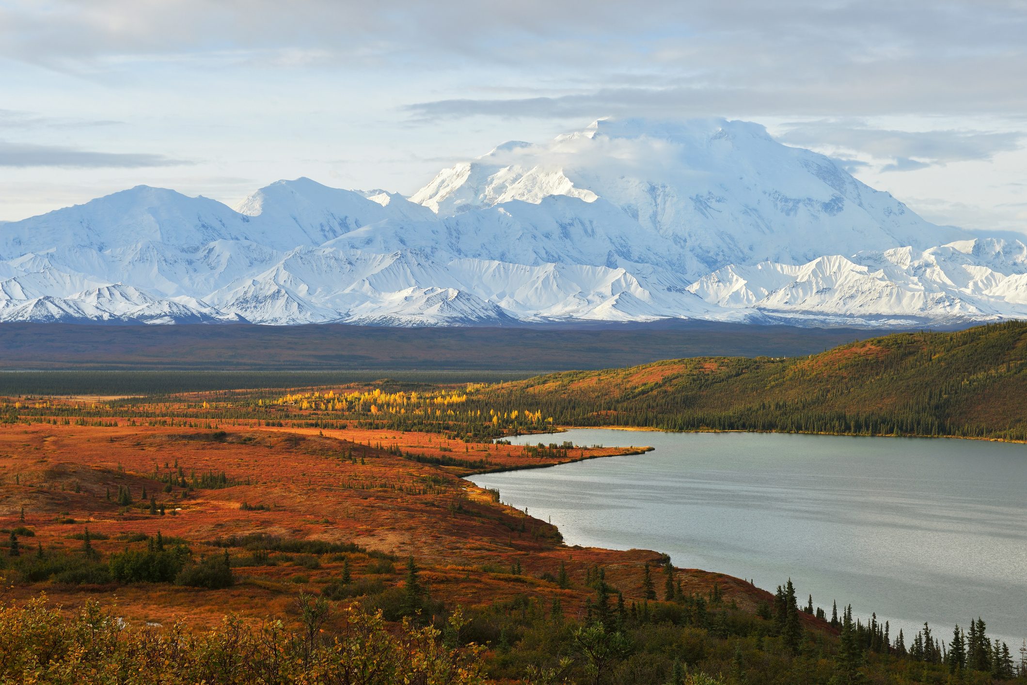 Denali mountain and wonder lake at sunrise