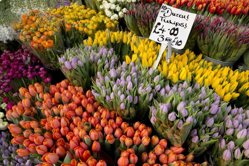 Columbia Road Flower Market - east London