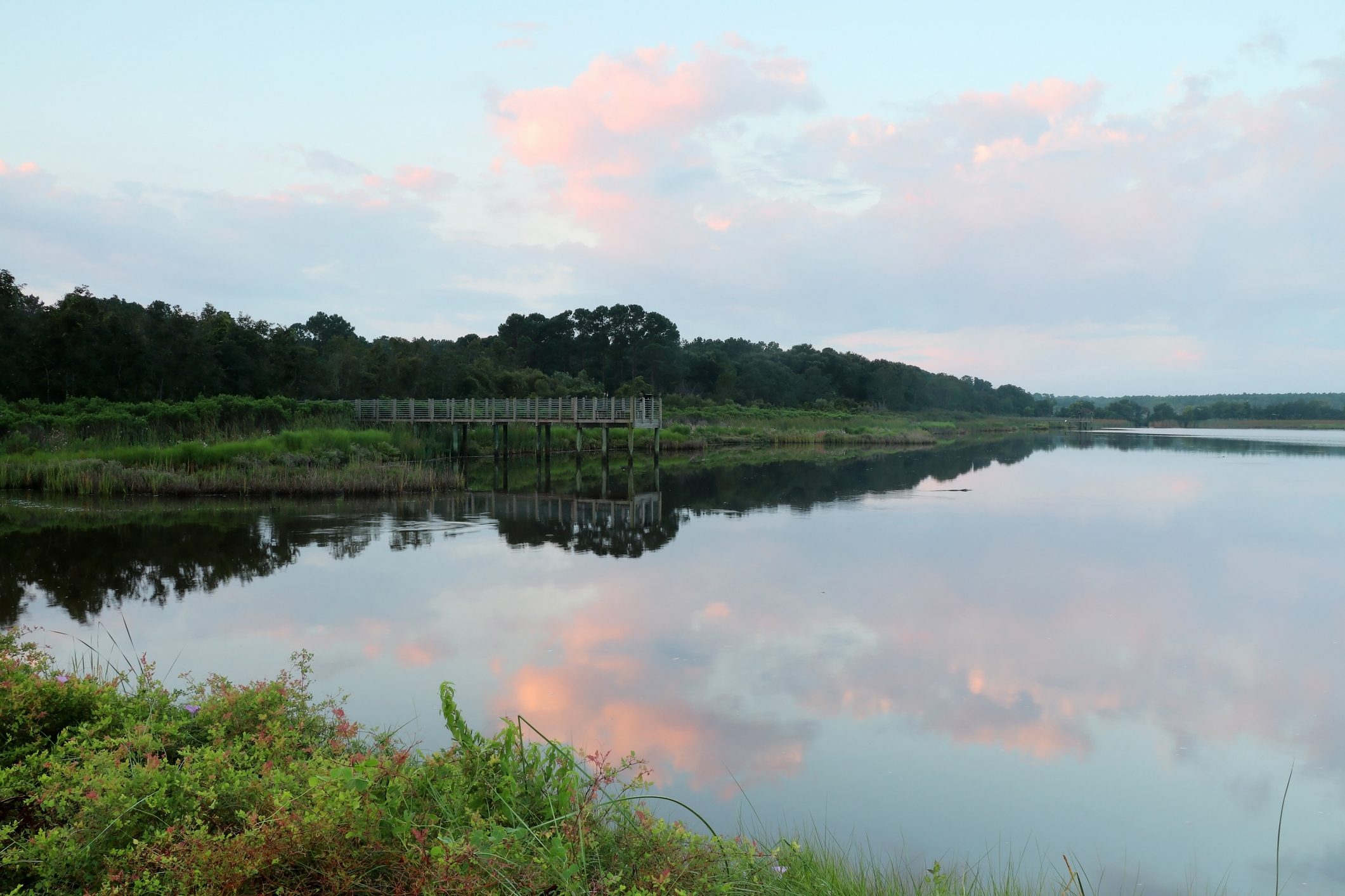 Huntington Beach State park, South Carolina, Murrels Inlet, Myrtle Beach area, USA.