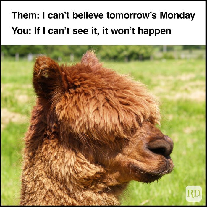 Monday Memes 43