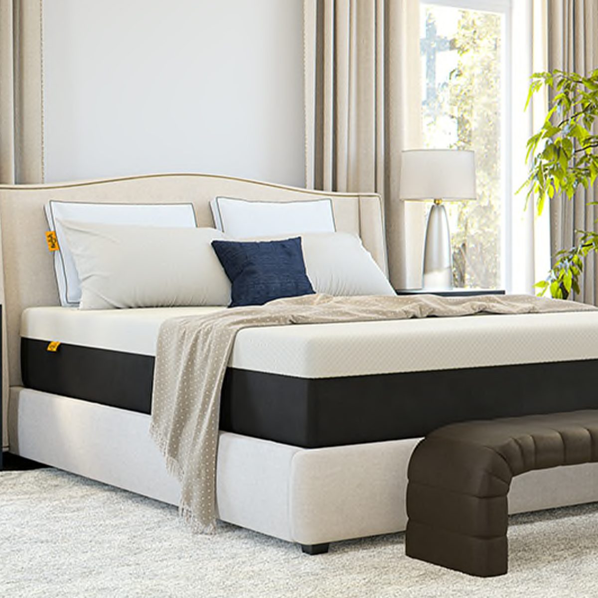 Nolah Signature 12 Inch Mattress