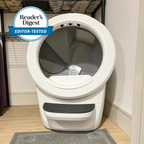 Editor Tested Litter Robot 4