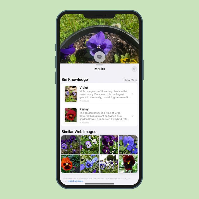 Rd Look Up Plants Gettyimages