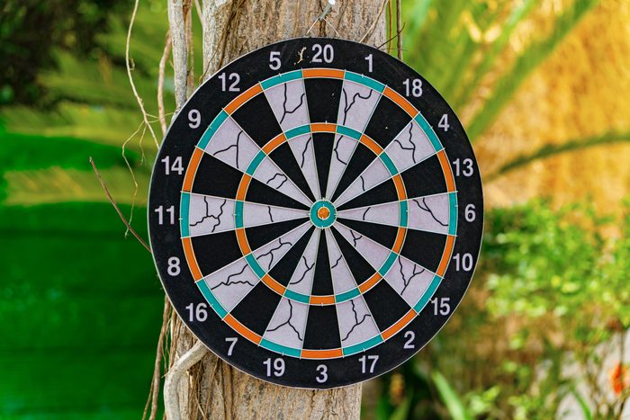 dart board o na tree outside