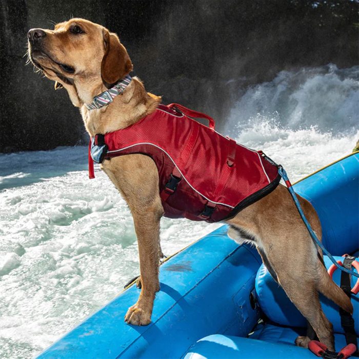 Surf N Turf Dog Life Jacket