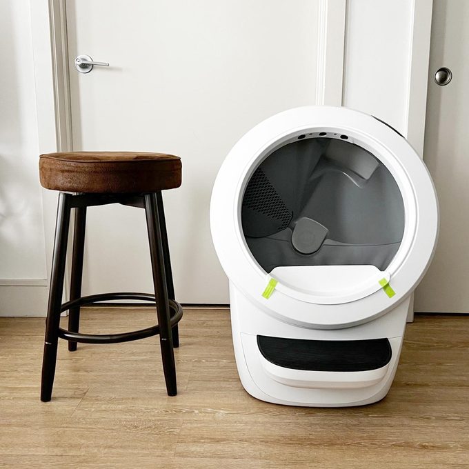 litter robot next to a stool