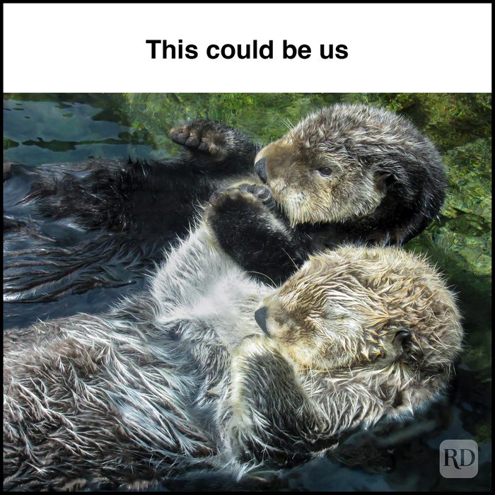 12 This Could Be Us Gettyimages 873772358