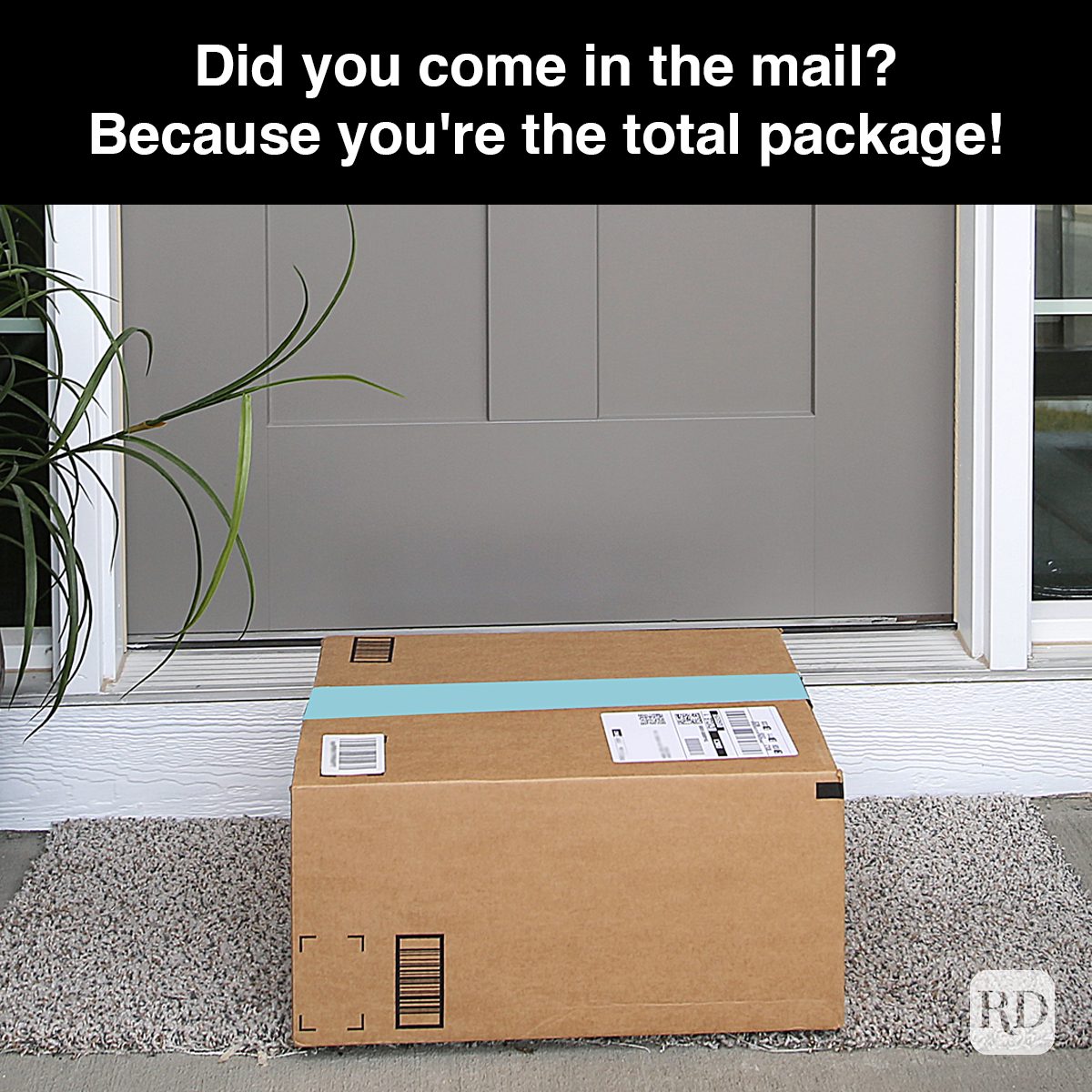 47 Did You Come In The Mail Because You're The Total Package Gettyimages 1088608090