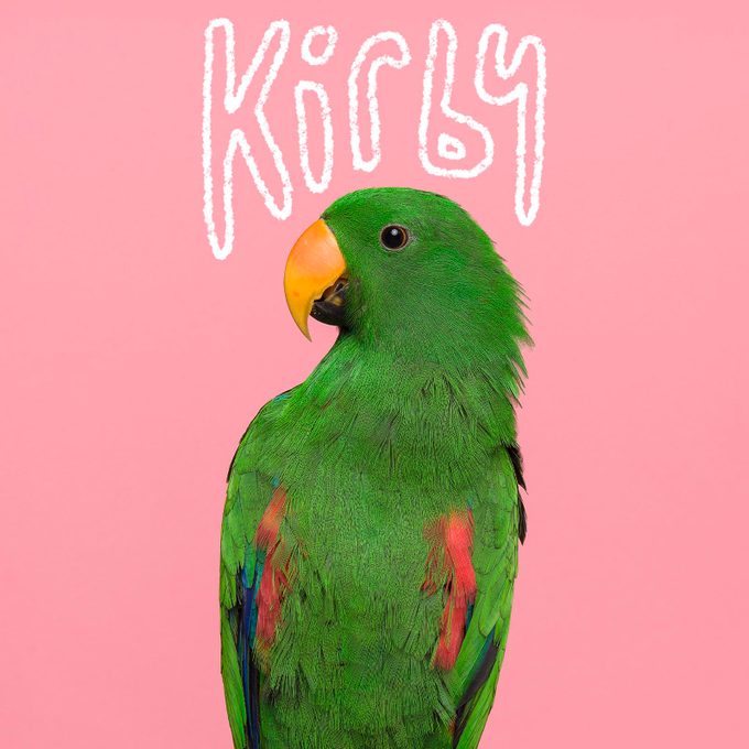 Bird name handwritten on an image of a pet bird