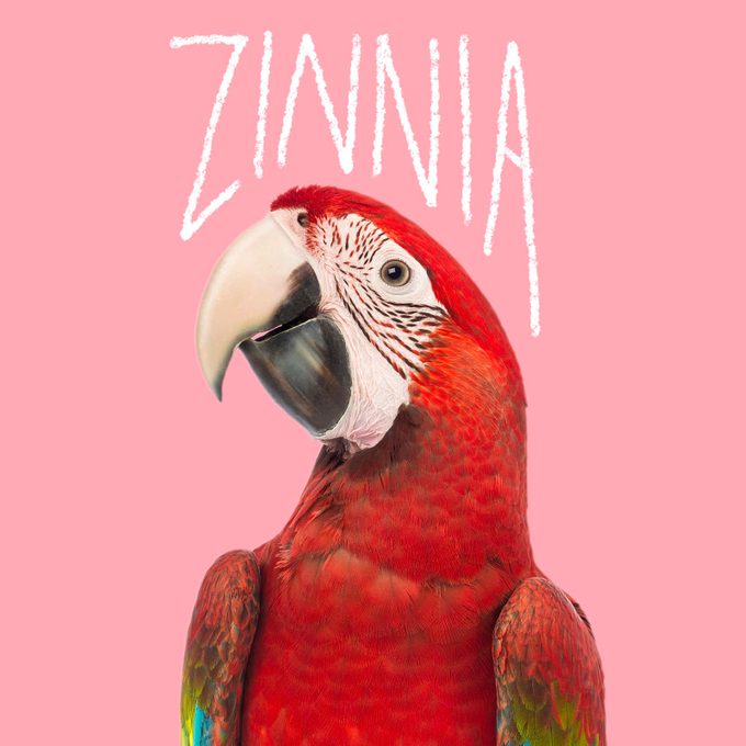 Bird name handwritten on an image of a pet bird