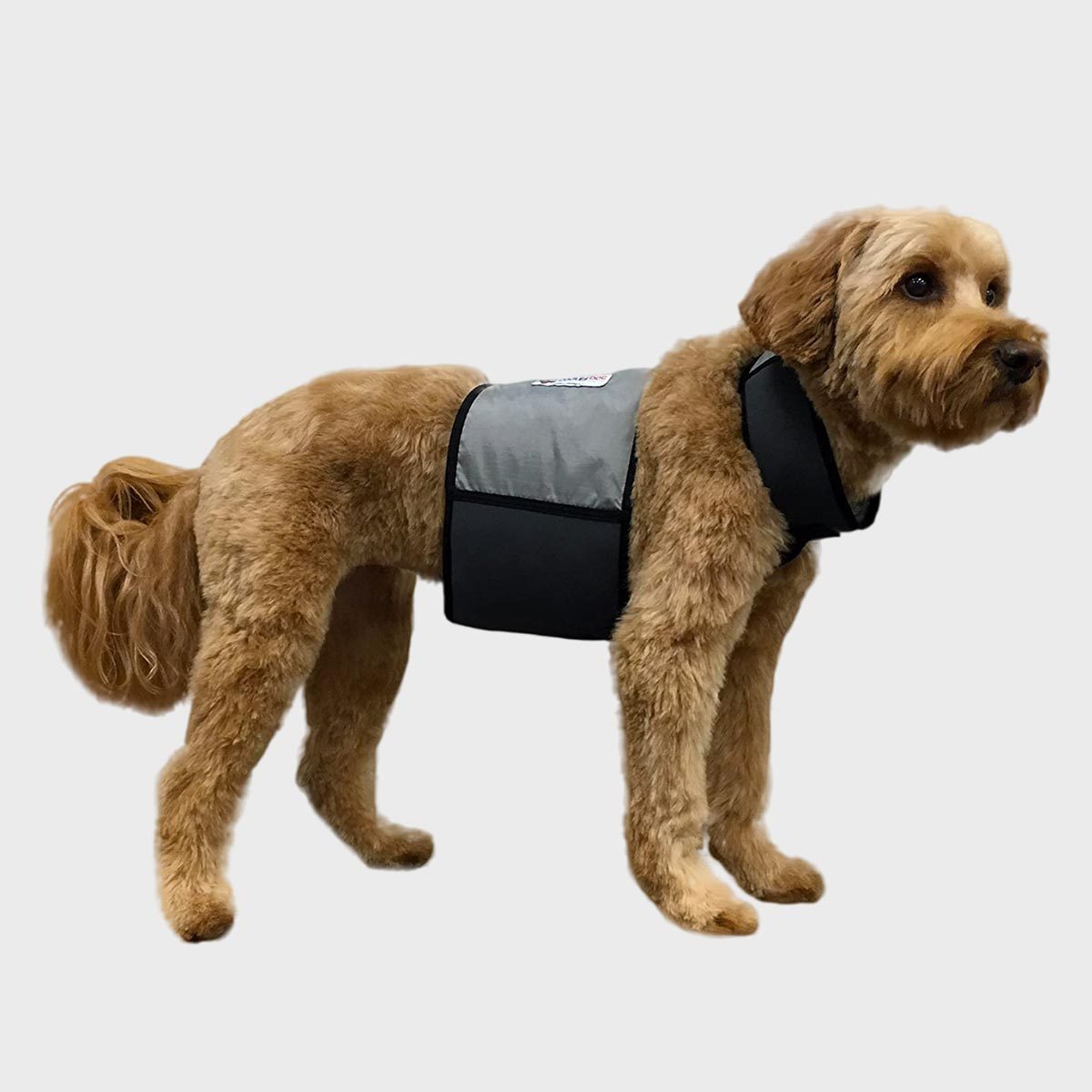 Coolerdog Ice Vest And Collar