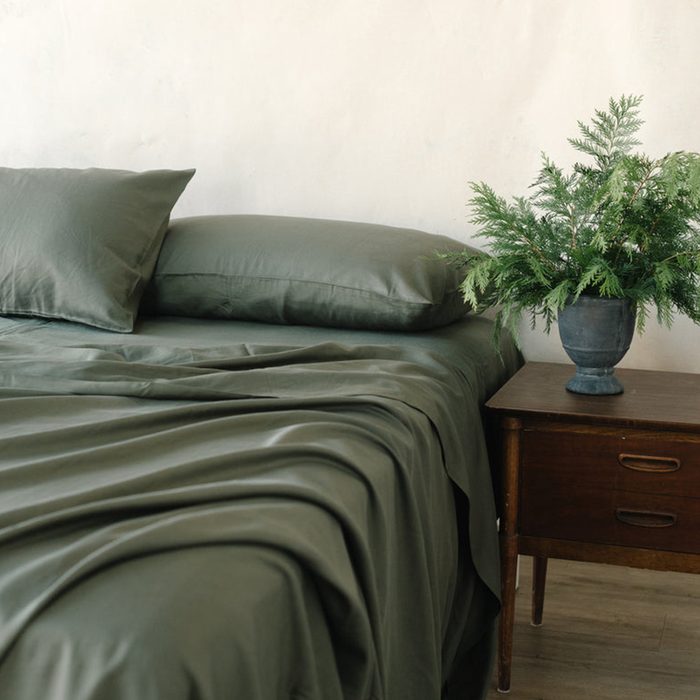 Cozy Earth Linen Sheet Set