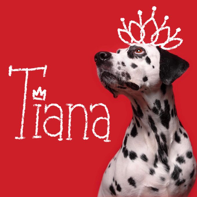 Disney Inspired Dog Names Tiana