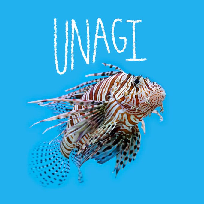 Fish name handwritten on an image of a fish