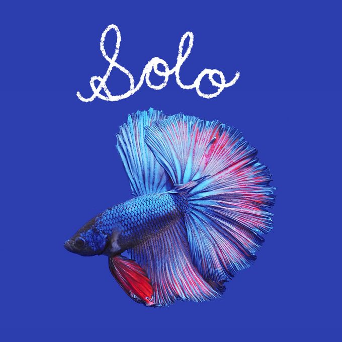 Fish name handwritten on an image of a fish