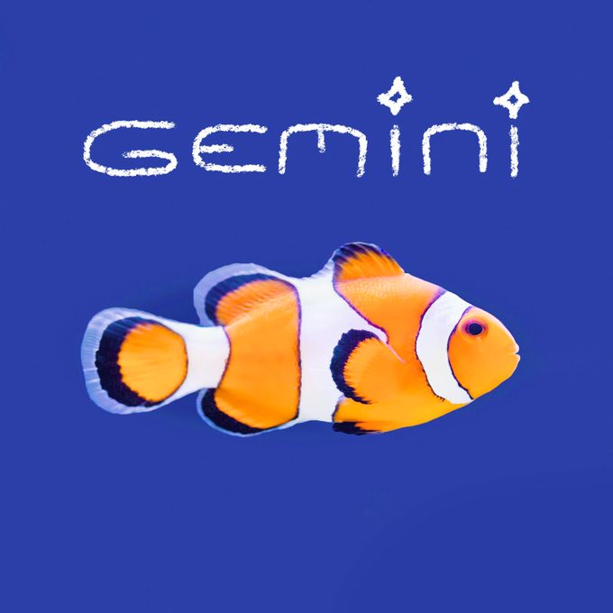 Fish name handwritten on an image of a fish