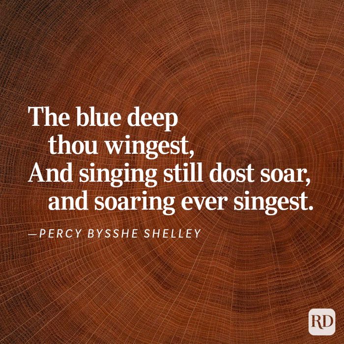 Nature Poems Gettyimages 11