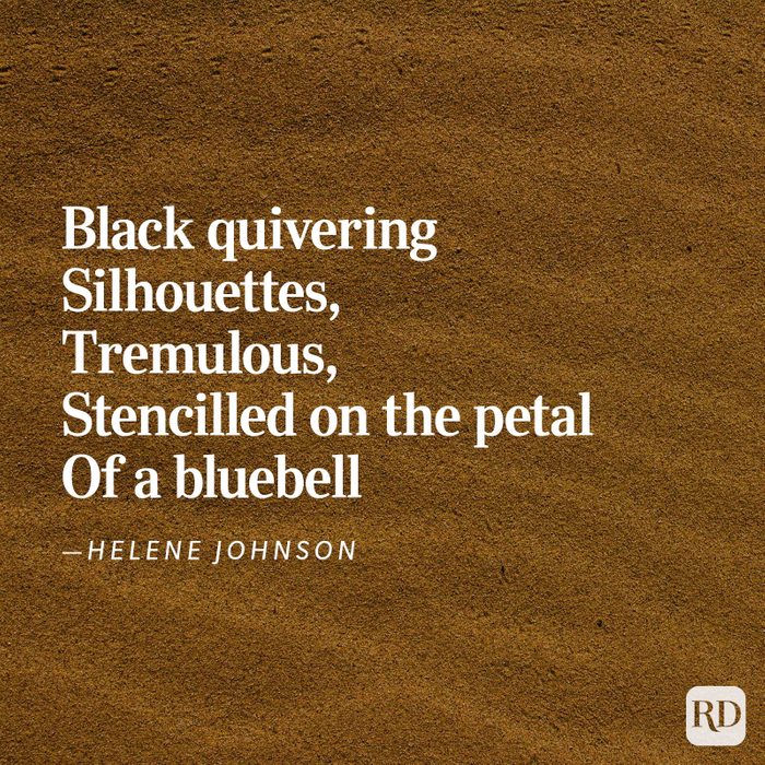 Nature Poems Gettyimages 12