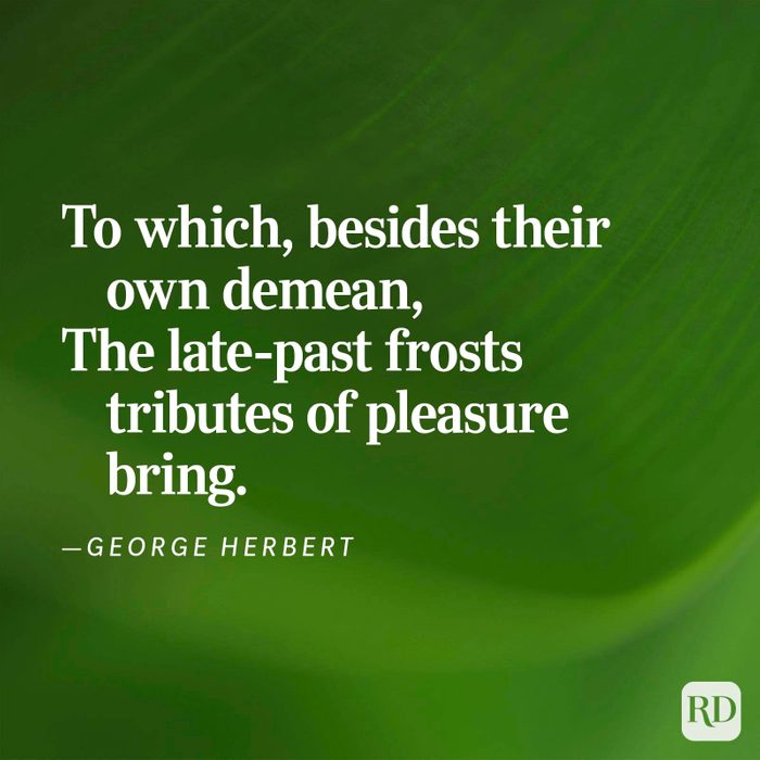 Nature Poems Gettyimages 13