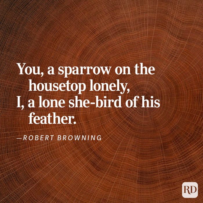 Nature Poems Gettyimages 16