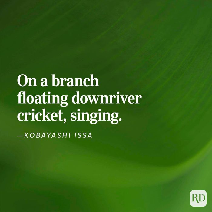 Nature Poems Gettyimages 18