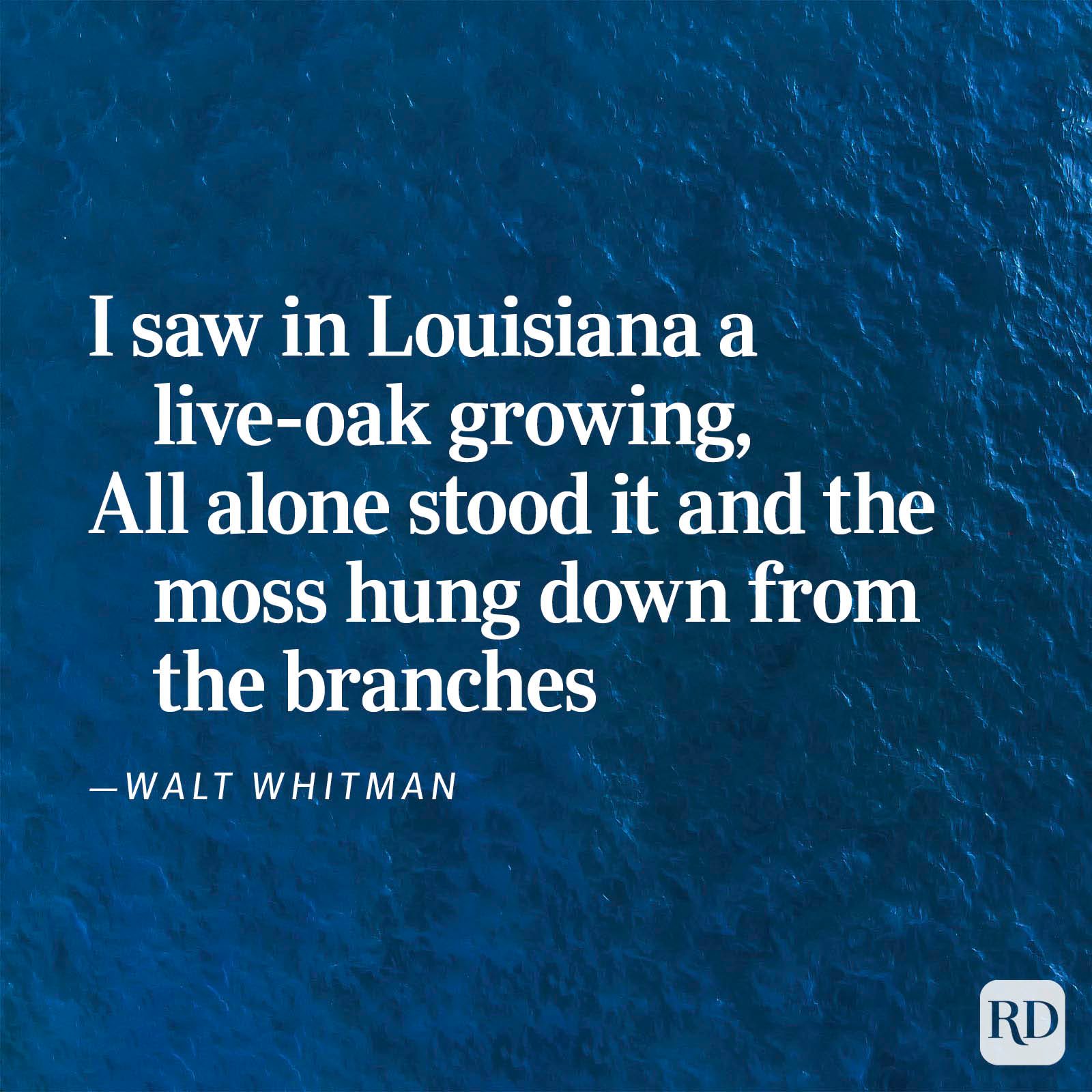 Nature Poems Gettyimages 19