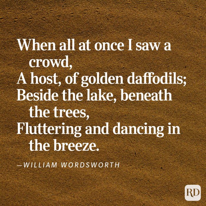 Nature Poems Gettyimages 2