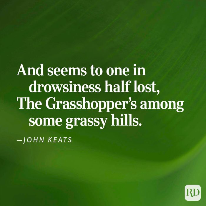 Nature Poems Gettyimages 3