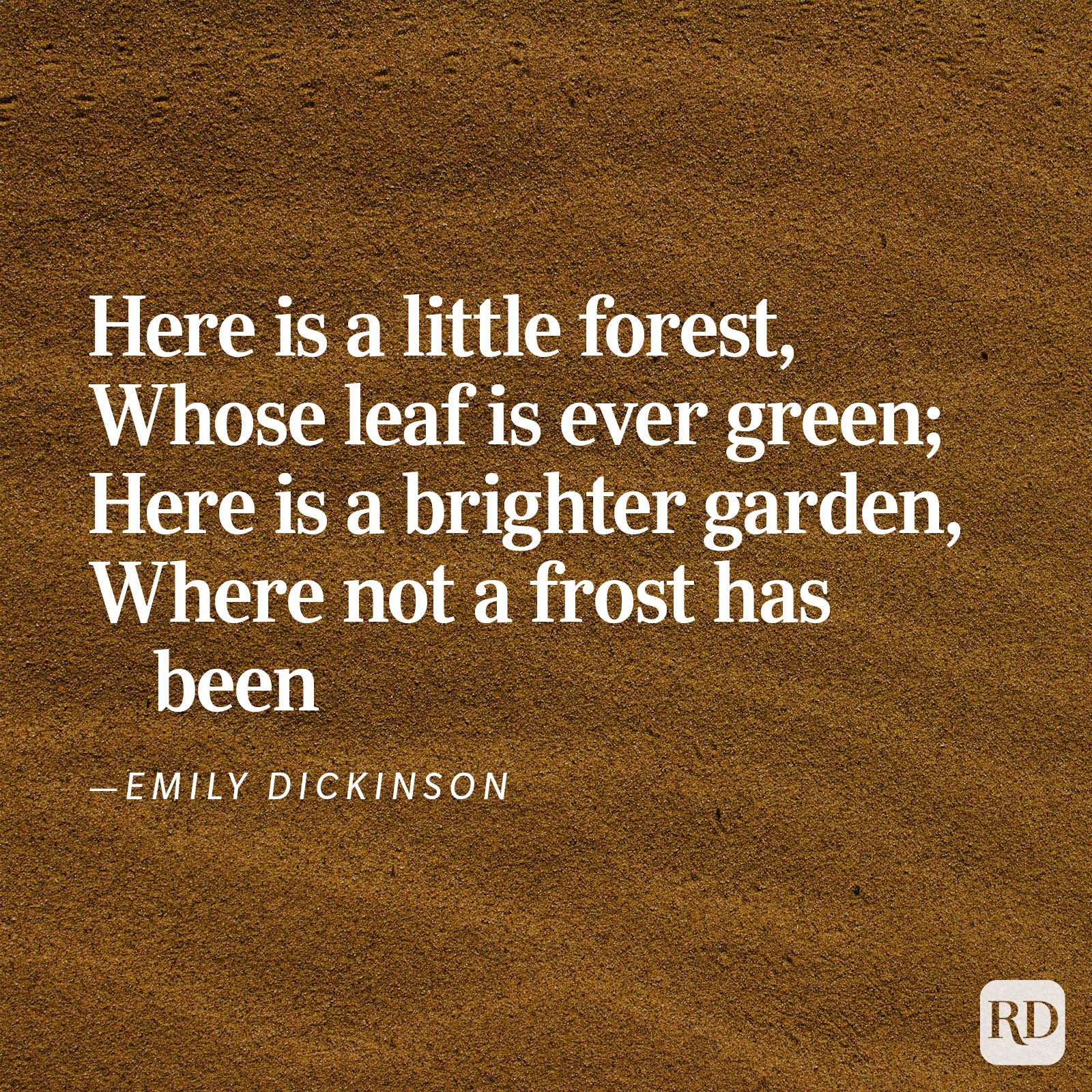 Nature Poems Gettyimages 32