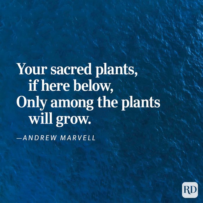 Nature Poems Gettyimages 34